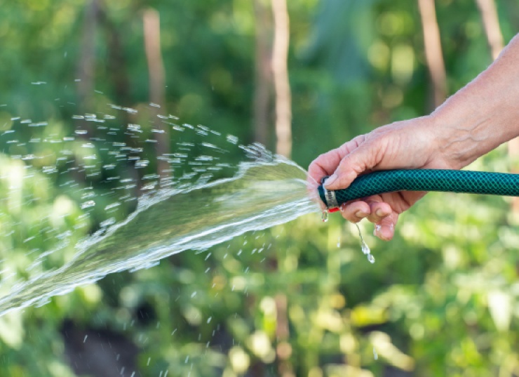 El agua también quiere vacaciones